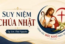 Chúa Nhật XXII Thường Niên Năm A: BƯỚC THEO CHÚA TRÊN CON ĐƯỜNG THẬP GIÁ
