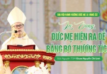 BÀI GIẢNG CỦA ĐỨC TỔNG GIÁM MỤC GIUSE NGUYỄN CHÍ LINH TRONG THÁNH LỄ MỪNG KÍNH ĐỨC MARIA HỒN XÁC LÊN TRỜI – ĐẠI HỘI HÀNH HƯƠNG ĐỨC MẸ LA VANG LẦN THỨ 32