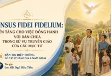 SENSUS FIDEI FIDELIUM: NỀN TẢNG CHO VIỆC ĐỒNG HÀNH VỚI DÂN CHÚA TRONG SỨ VỤ TRUYỀN GIÁO CỦA CÁC MỤC TỬ