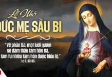Thứ Ba, 15/09: Đức Mẹ sầu bi.