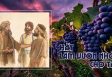 CHÚA NHẬT XXVI THƯỜNG NIÊN: Đổi Lòng – Đổi Hướng – Đổi Đời’