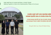 Giới thiệu cuộc gặp gỡ các Nhóm Hiệp hành Quốc gia Á châu của FABC