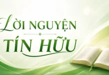 Lời Nguyện Tín Hữu Chúa Nhật 25 Thường Niên – Năm A