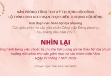 NHÌN LẠI – TÀI LIỆU ĐỒNG HÀNH TRONG VIỆC CHUẨN BỊ CHO ĐẠI HỘI LƯỢNG GIÁ TẠI GIÁO HỘI ĐỊA PHƯƠNG