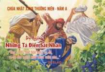 Suy niệm Tin Mừng Chúa Nhật 27 thường niên A
