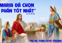 Thứ Ba tuần 27 Thường Niên