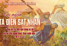 CHÚA NHẬT 27 THƯỜNG NIÊN