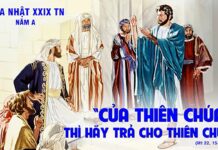 Chúa Nhật 29 TN/A