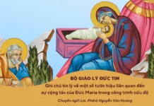 Ghi Chú Tín Lý Của Bộ Giáo Lý Đức Tin Về Một Số Tước Hiệu Liên Quan Đến Sự Cộng Tác Của Đức Maria Trong Công Trình Cứu Độ