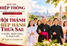 Hội Thánh Hiệp Hành Thừa Sai: Ý Nghĩa, Triển Vọng, Và Thách Đố