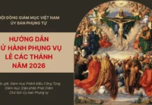 Ủy Ban Phụng Tự Hướng Dẫn Cử Hành Phụng Vụ Lễ Các Thánh Năm 2026