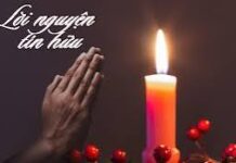 Lời Nguyện Tín Hữu Chúa Nhật 28 thường Niên – Năm A