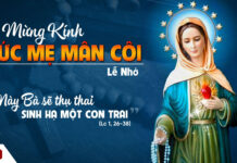 Thứ Tư tuần 27 TN – Lễ Đức Mẹ Mân Côi