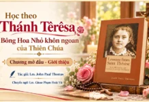 HỌC THEO THÁNH TÊRÊSA, BÔNG HOA NHỎ KHÔN NGOAN CỦA THIÊN CHÚA: CHƯƠNG MỞ ĐẦU – GIỚI THIỆU