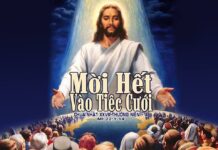 Suy niệm Tin Mừng Chúa Nhật 28 TN A