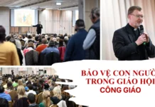 Bảo Vệ Con Người Trong Giáo Hội
