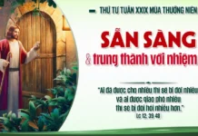 Thứ Tư 29 Thường Niên